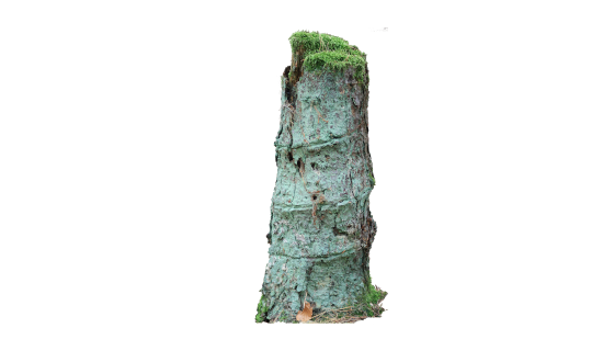 Coaching-Basis-Seminar Coaching-Basis-Seminar